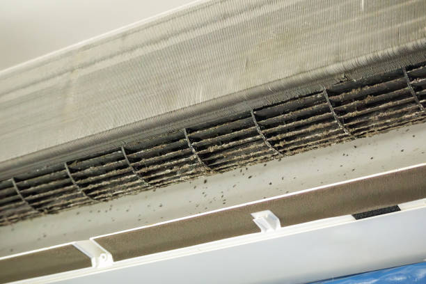 Best Air Vent Cleaning Services  in Lithonia, GA